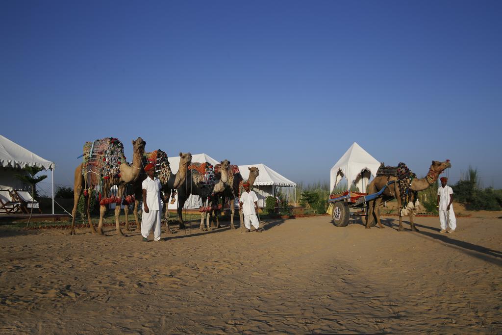 Pushkar Adventure Desert Camp Exteriér fotografie