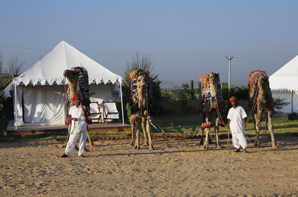 Pushkar Adventure Desert Camp Exteriér fotografie